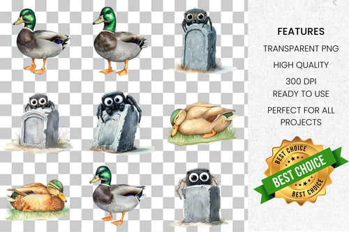 Adorable Ducks & Spooky Spider Clipart Bundle
