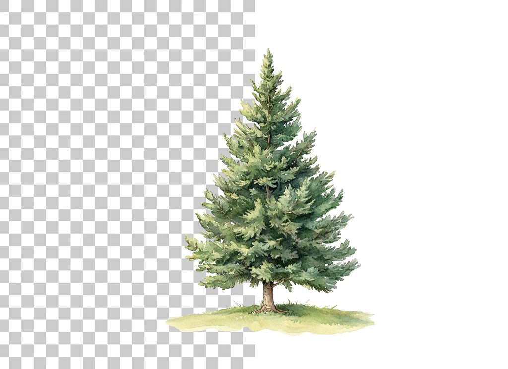 Pine Tree Clipart Bundle