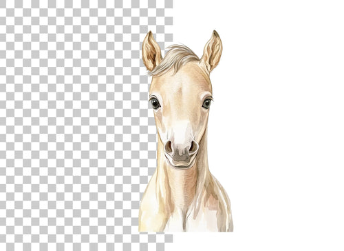 Adorable Palomino Foal Clipart Bundle