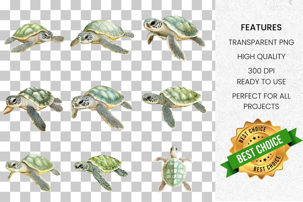 Baby Sea Turtle Clipart Bundle