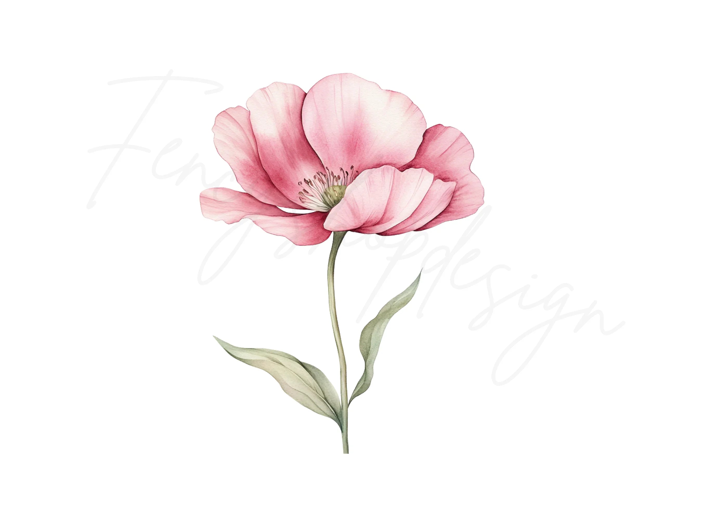 Pink Flower Clipart Bundle