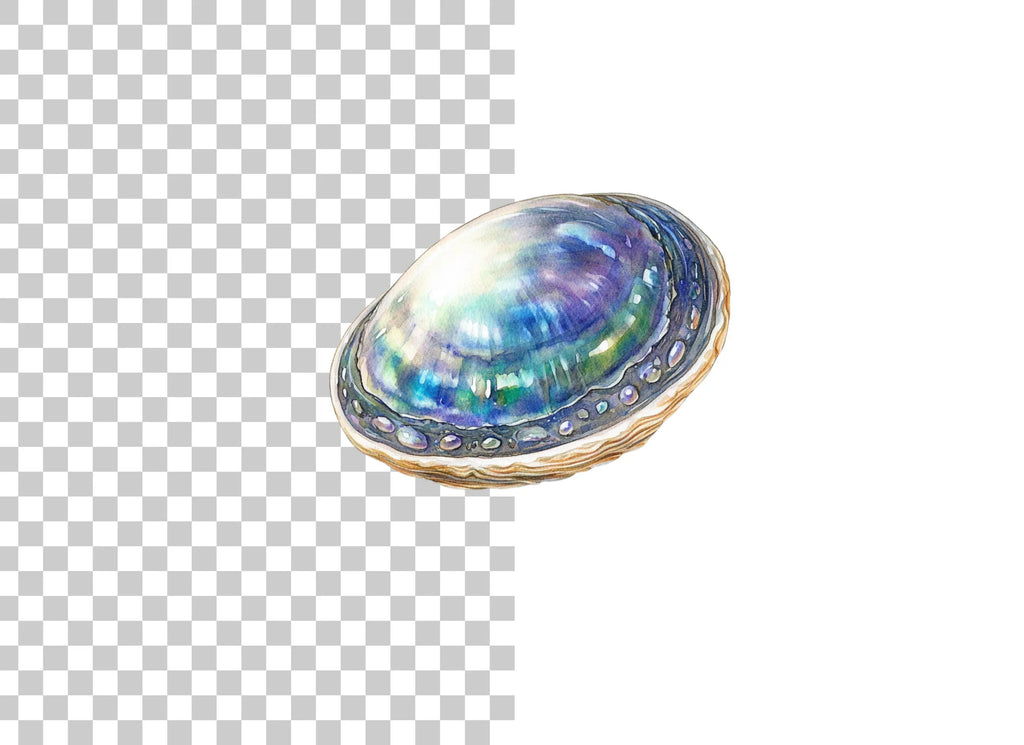Iridescent Abalone Shells Clipart Bundle