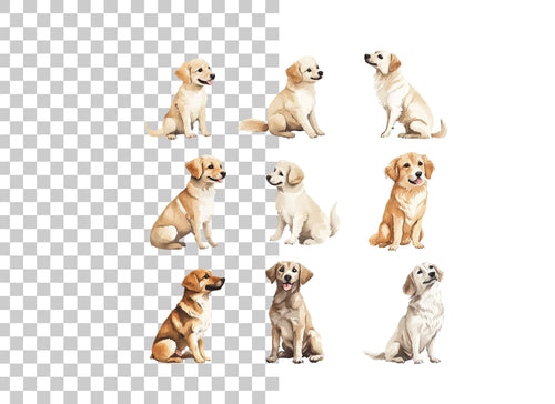 Adorable Golden Retriever Puppies Clipart Bundle