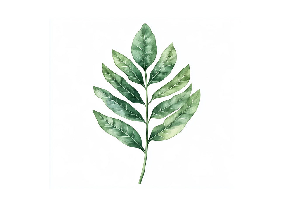 Green Leaves Clipart Bundle