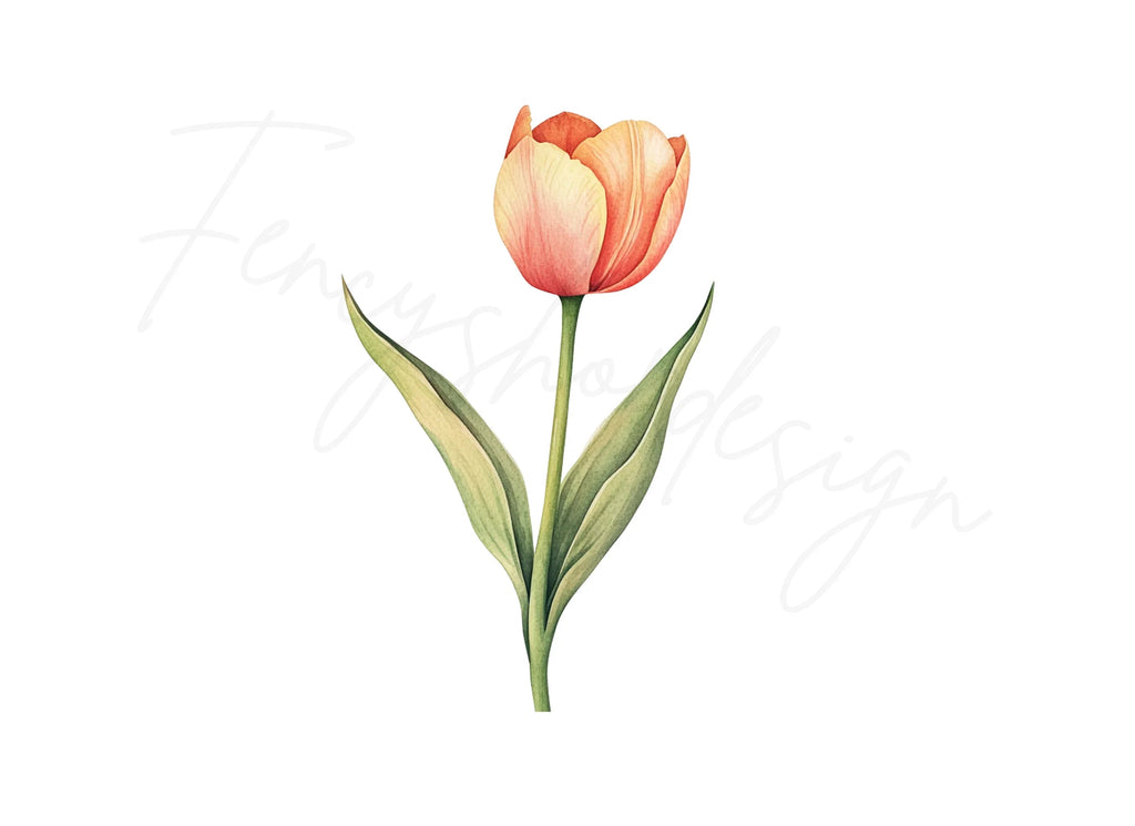 Single Tulip Flowers Clipart Bundle