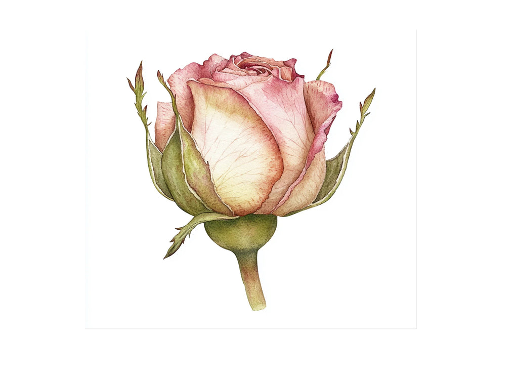 Pink Rose Bud Clipart Bundle