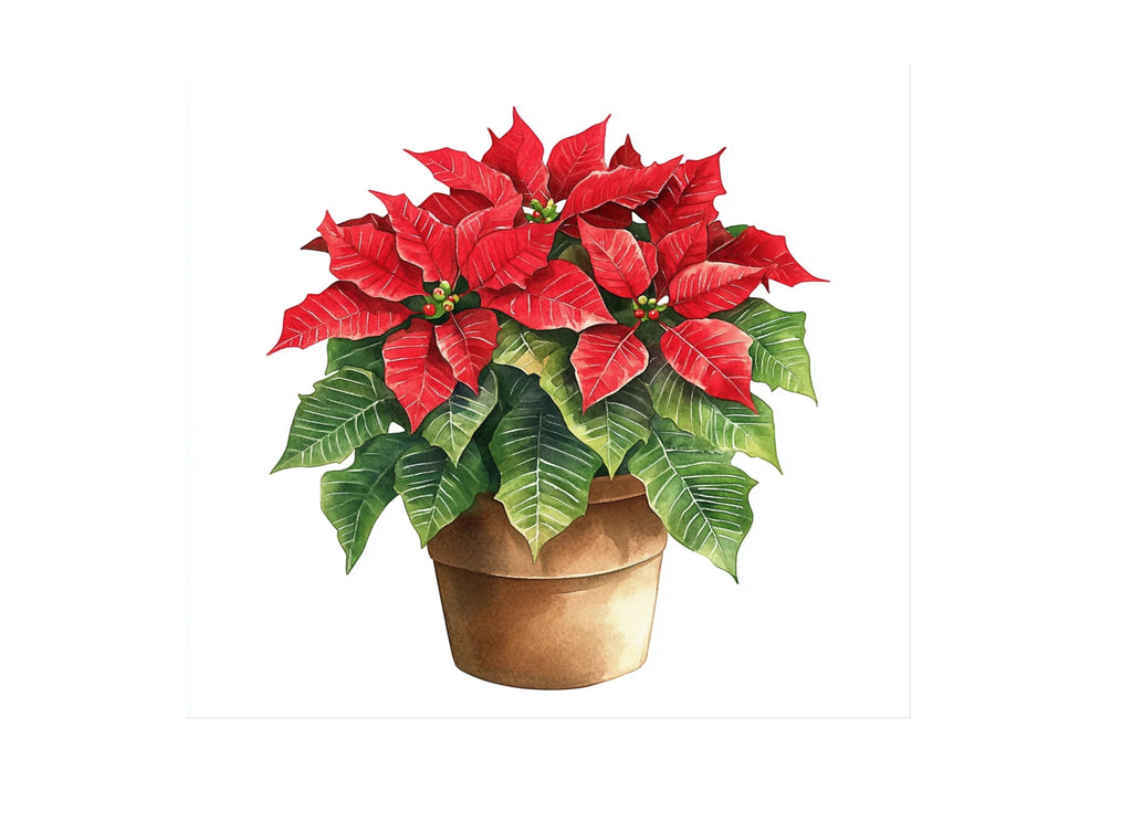 Potted Poinsettia Christmas Clipart Bundle