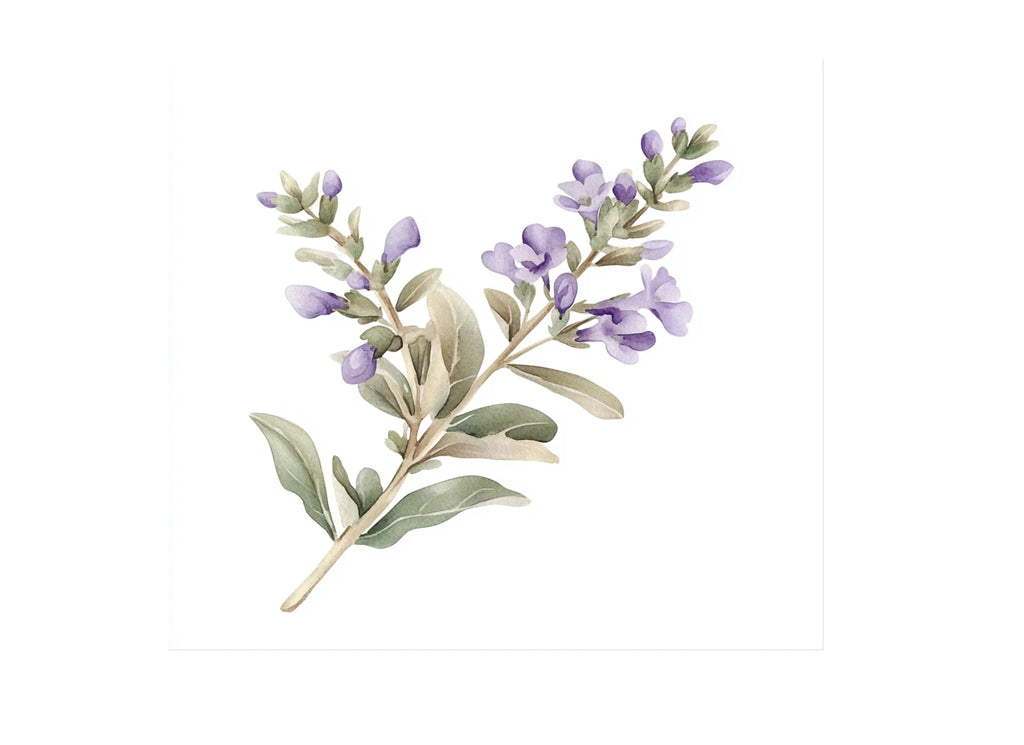 Delicate Lavender Sprig Clipart Bundle