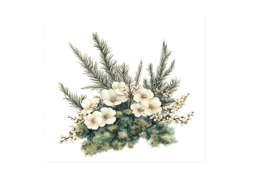 Winter Floral Pine Cone Clipart Bundle