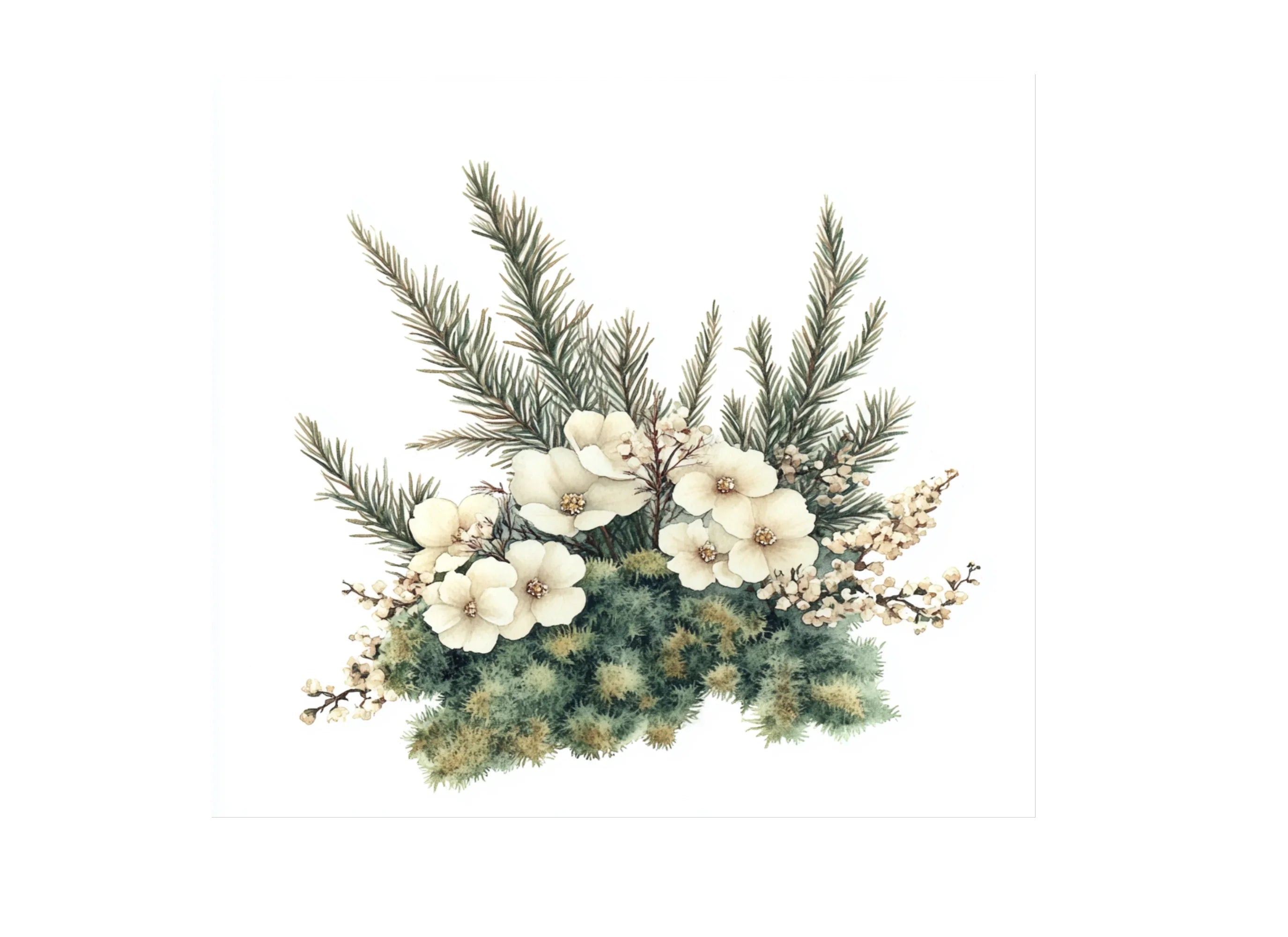 Winter Floral Pine Cone Clipart Bundle