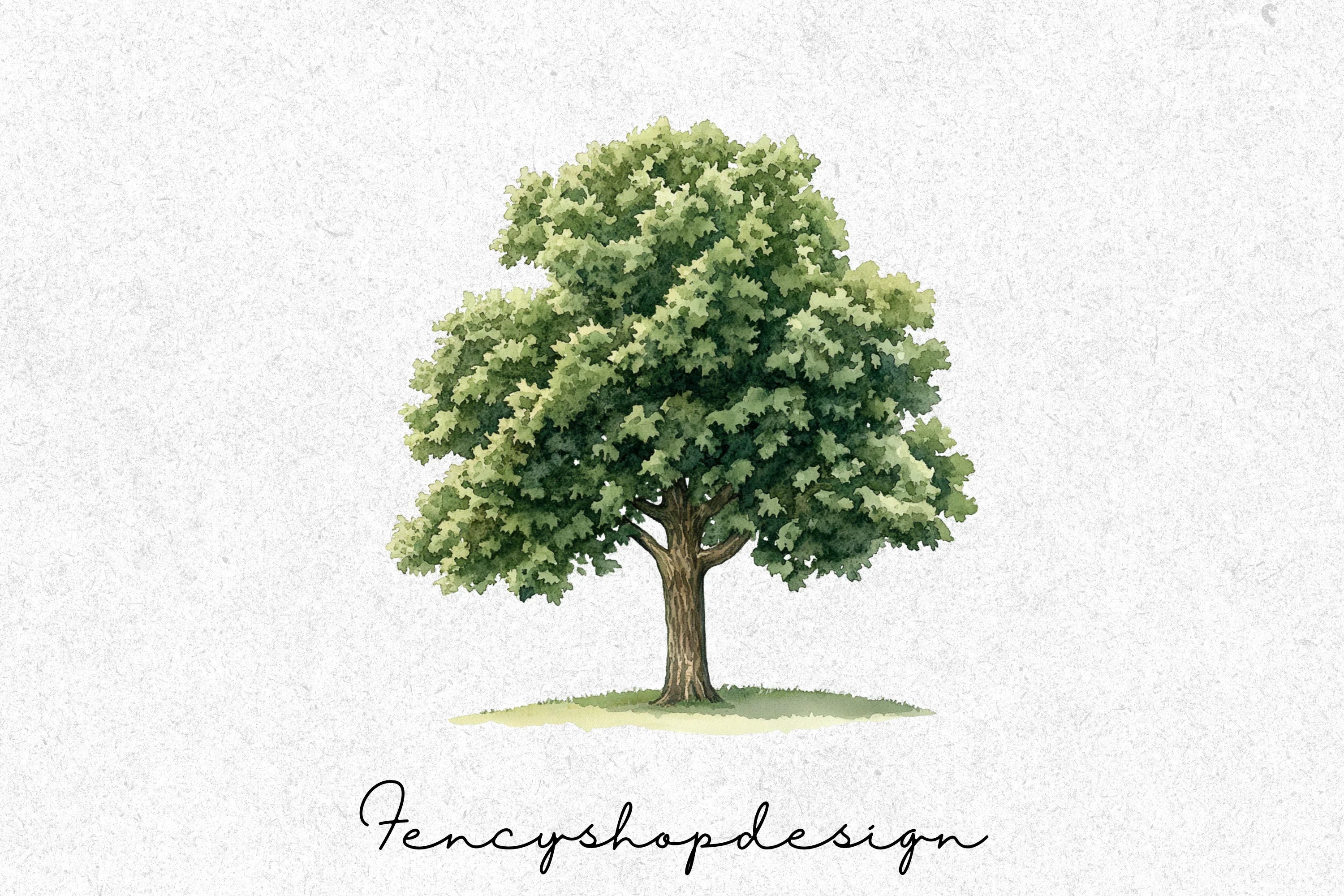 Realistic Tree Clipart Bundle