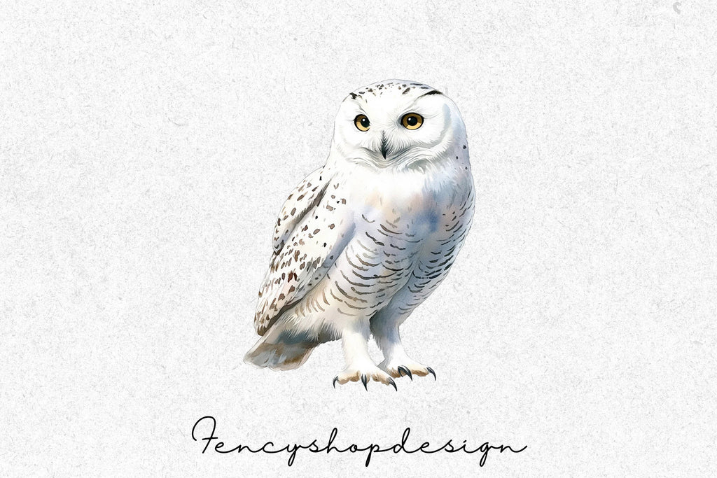 Majestic Snowy Owl Clipart Bundle