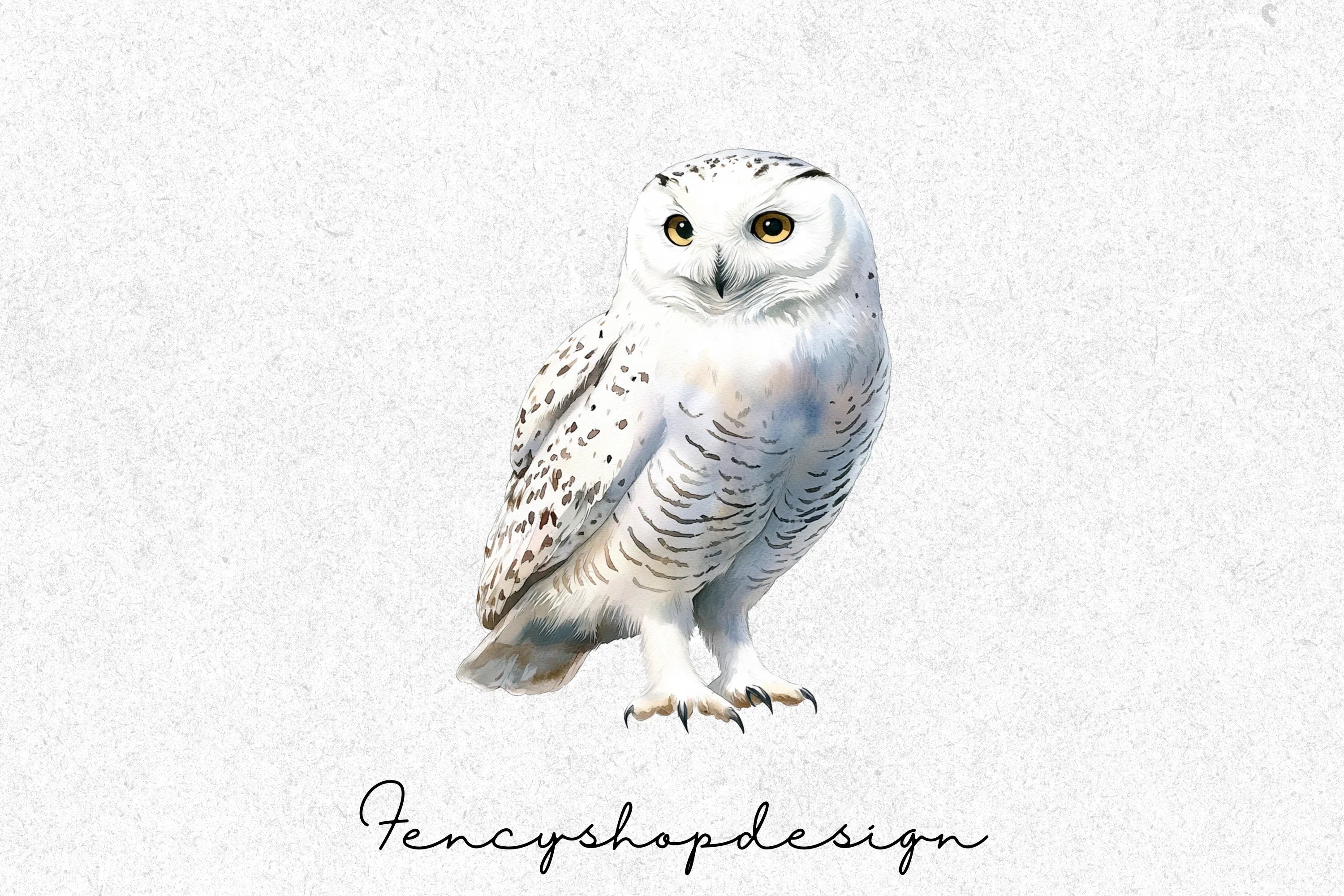 Majestic Snowy Owl Clipart Bundle