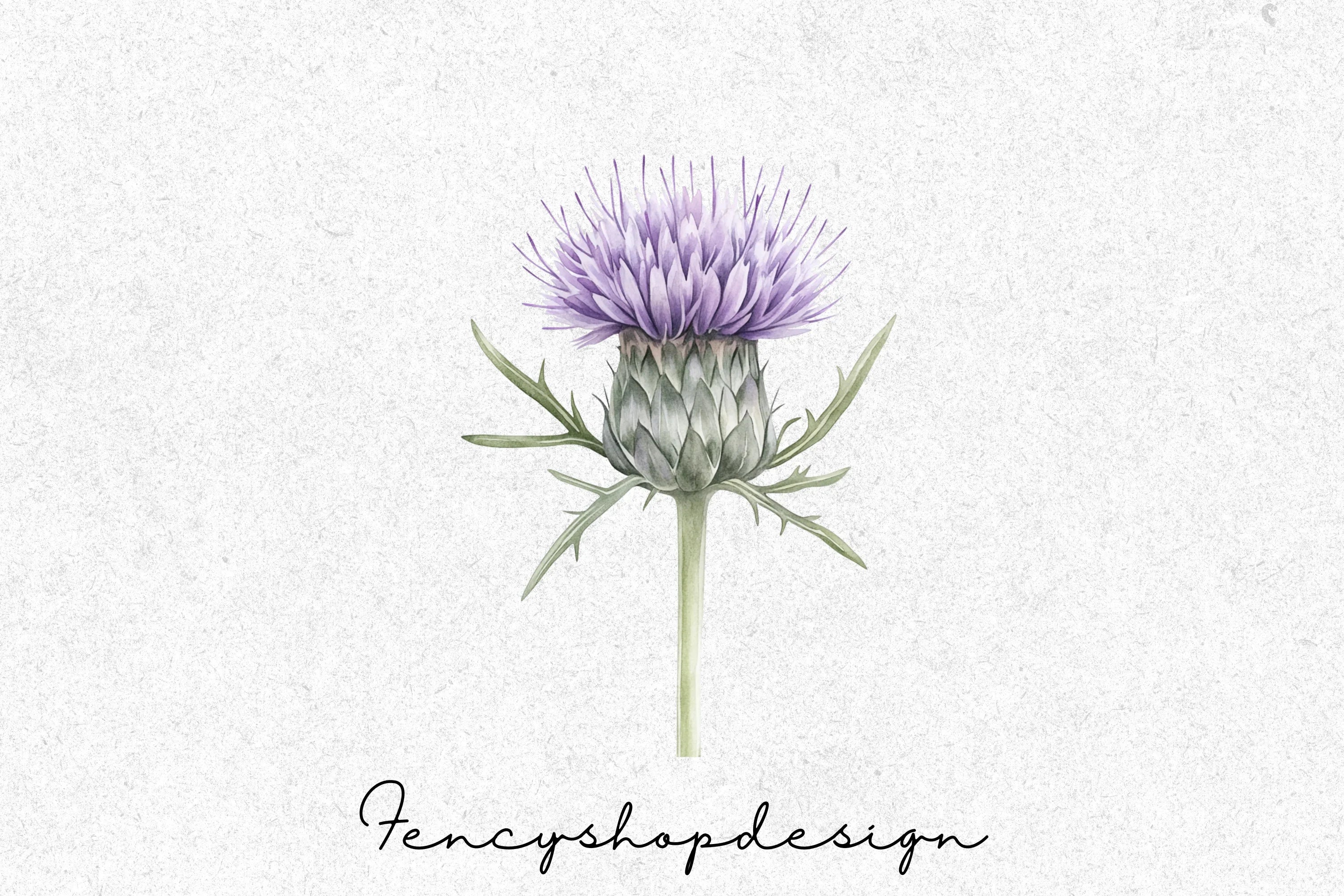 Thistle Flower Clipart Bundle