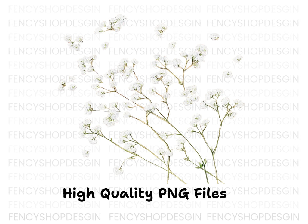 Delicate Baby Breath Clipart Bundle