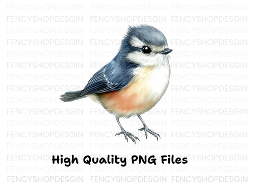 Adorable Blue and Orange Bird Clipart Bundle