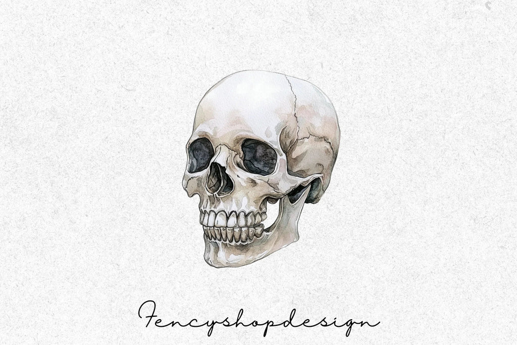 Realistic Skull Clipart Bundle