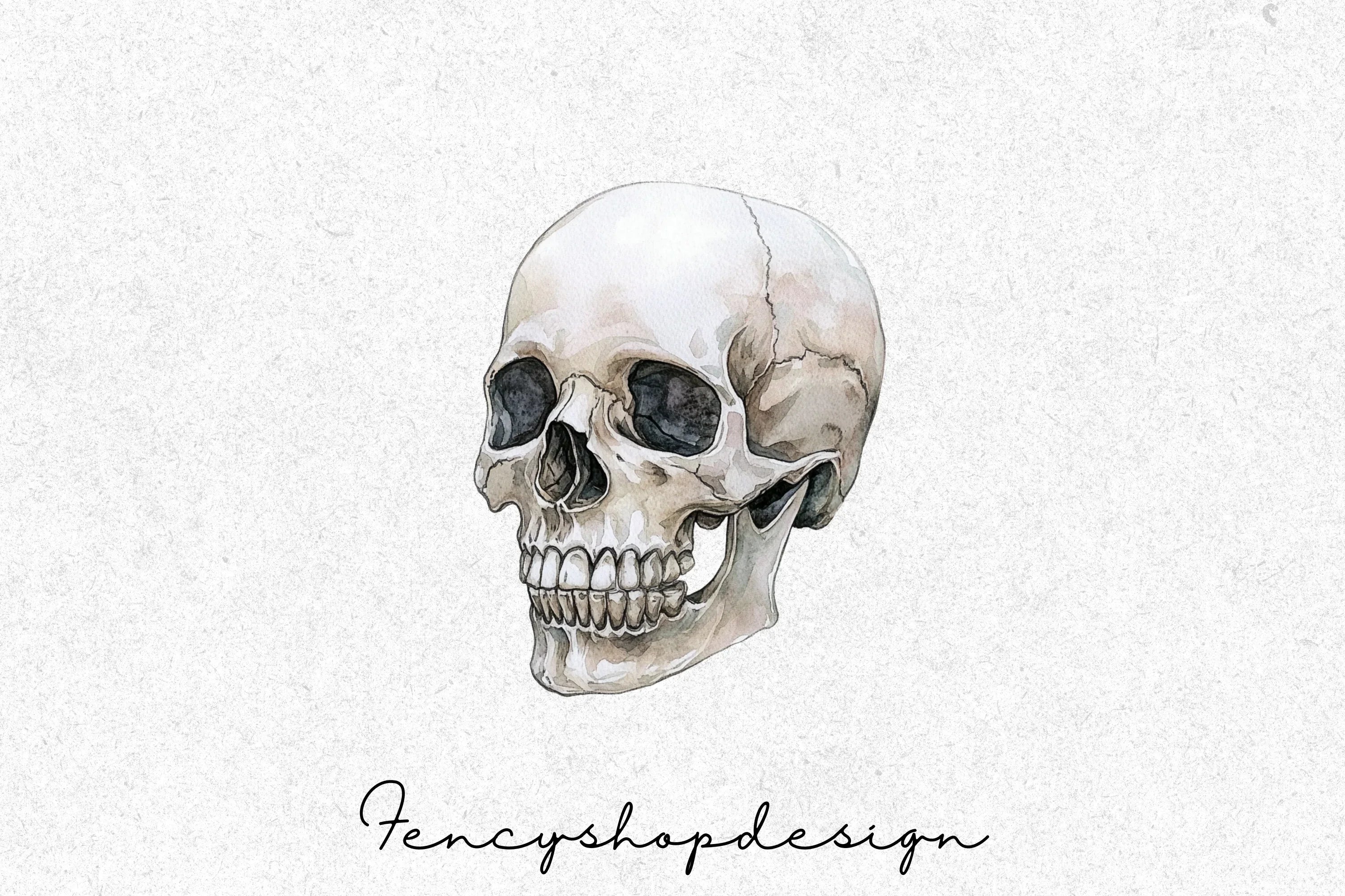 Realistic Skull Clipart Bundle