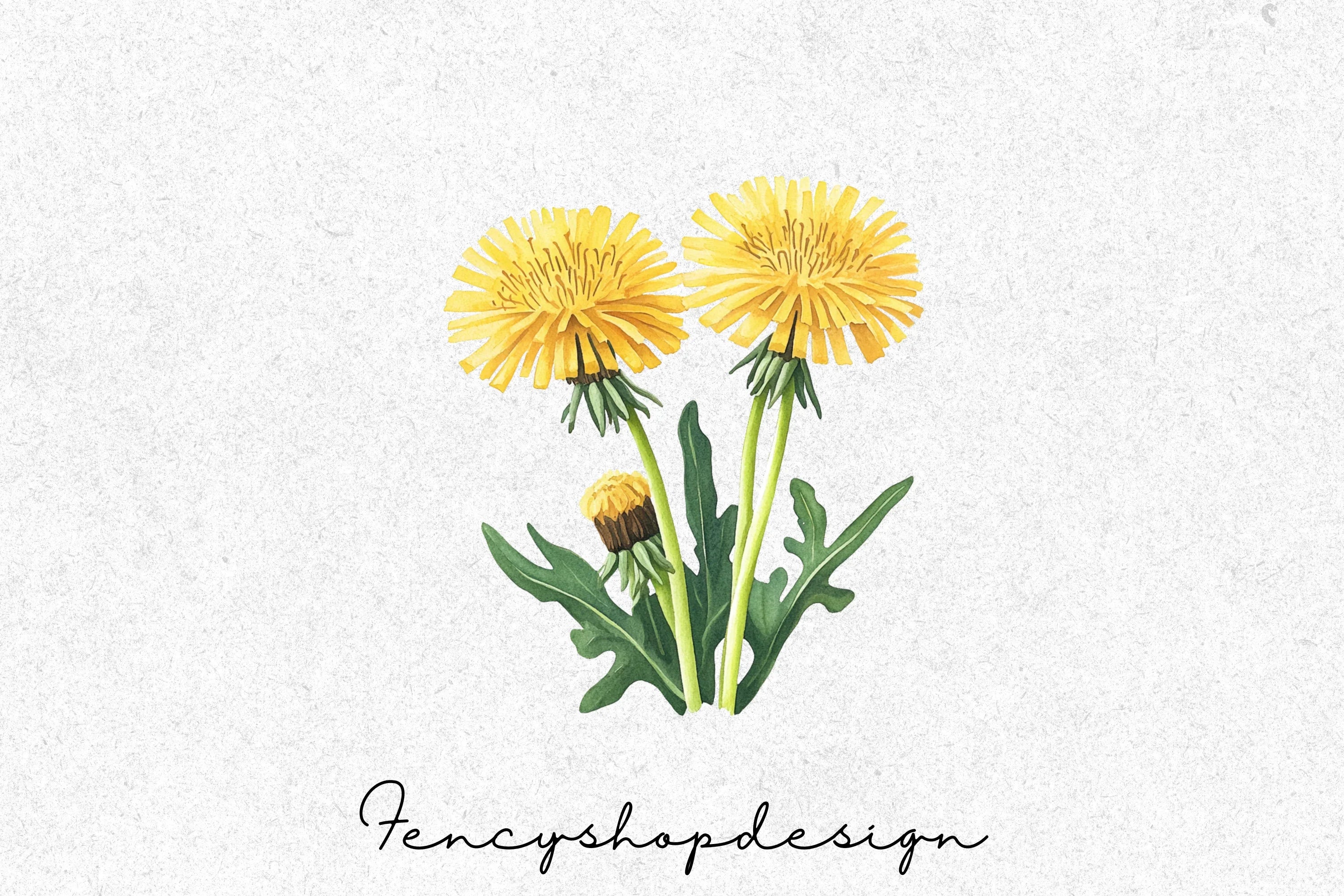 Vibrant Dandelion Clipart Bundle