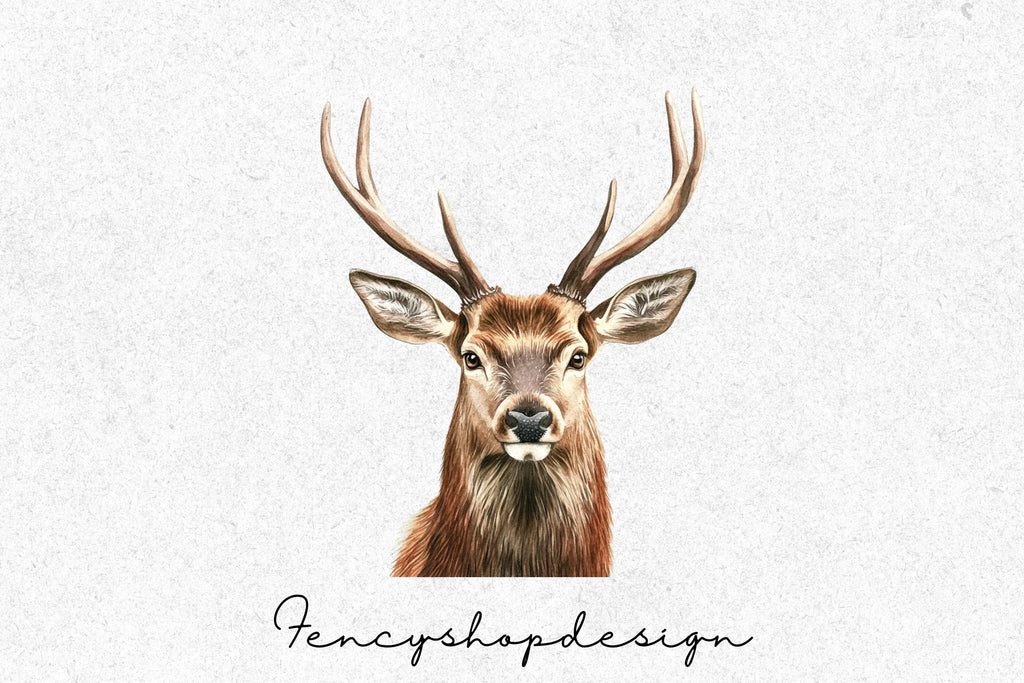 Majestic Deer Head Clipart Bundle