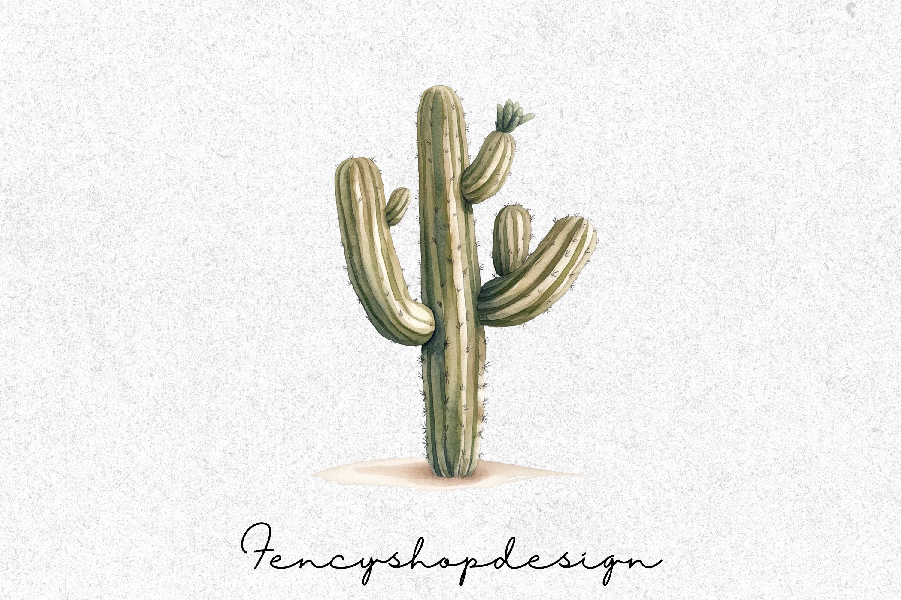 Desert Cactus Clipart Bundle