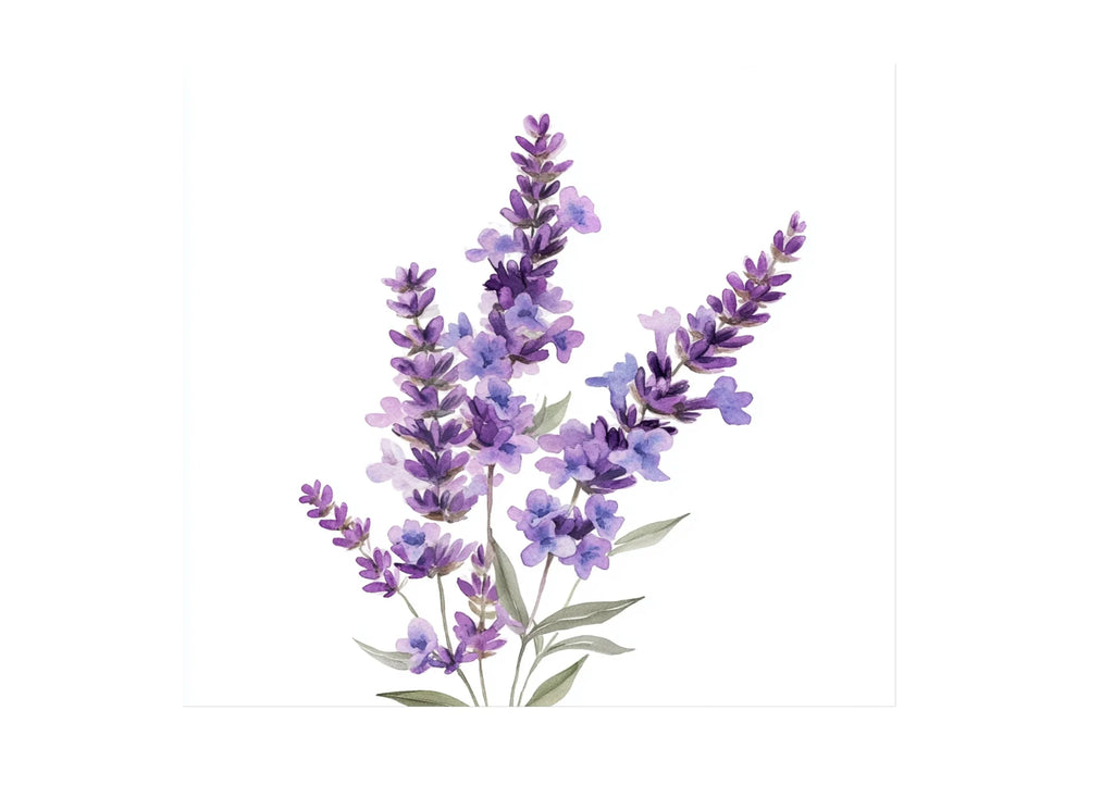 Lavender Flower Clipart Bundle