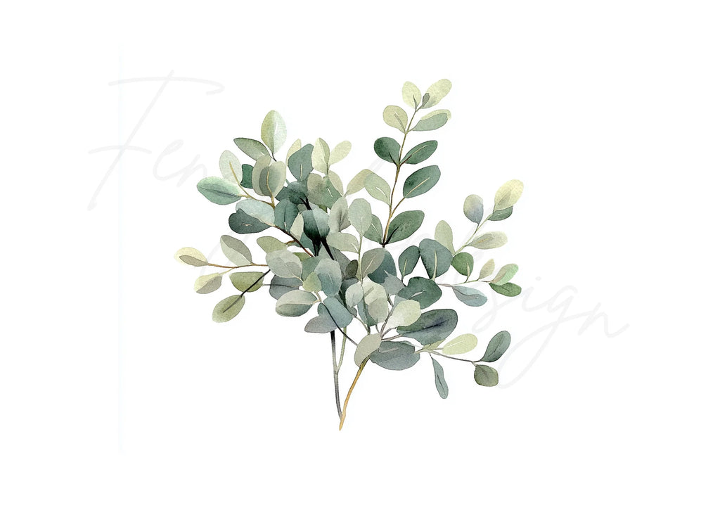Eucalyptus Leaves Clipart Bundle
