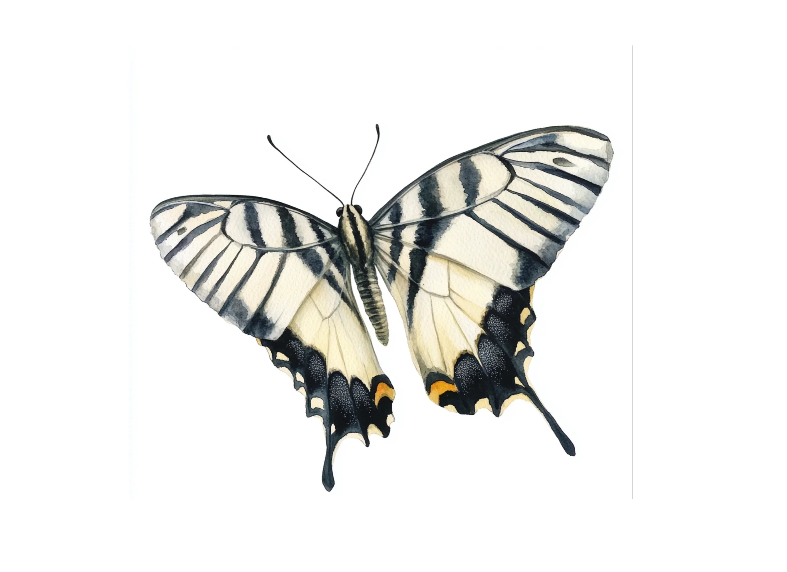 Elegant Swallowtail Butterfly Clipart Bundle