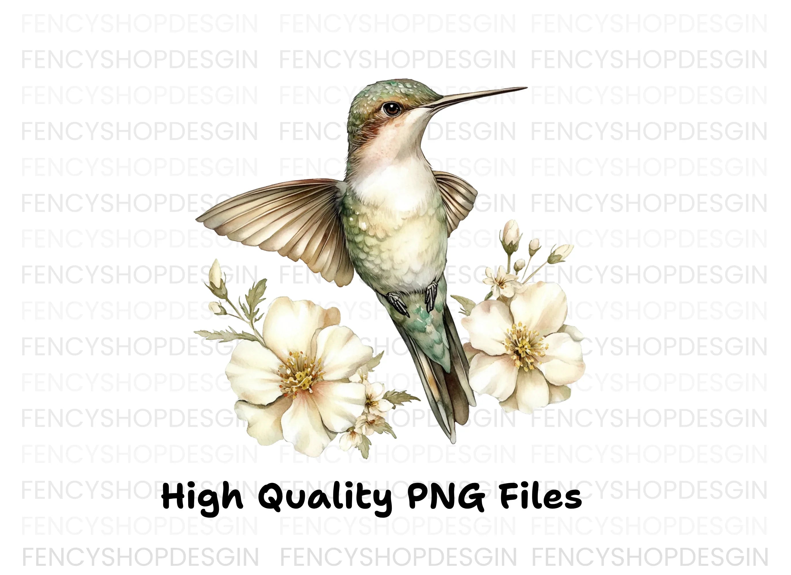 Hummingbird with White Flowers Clipart Bundle
