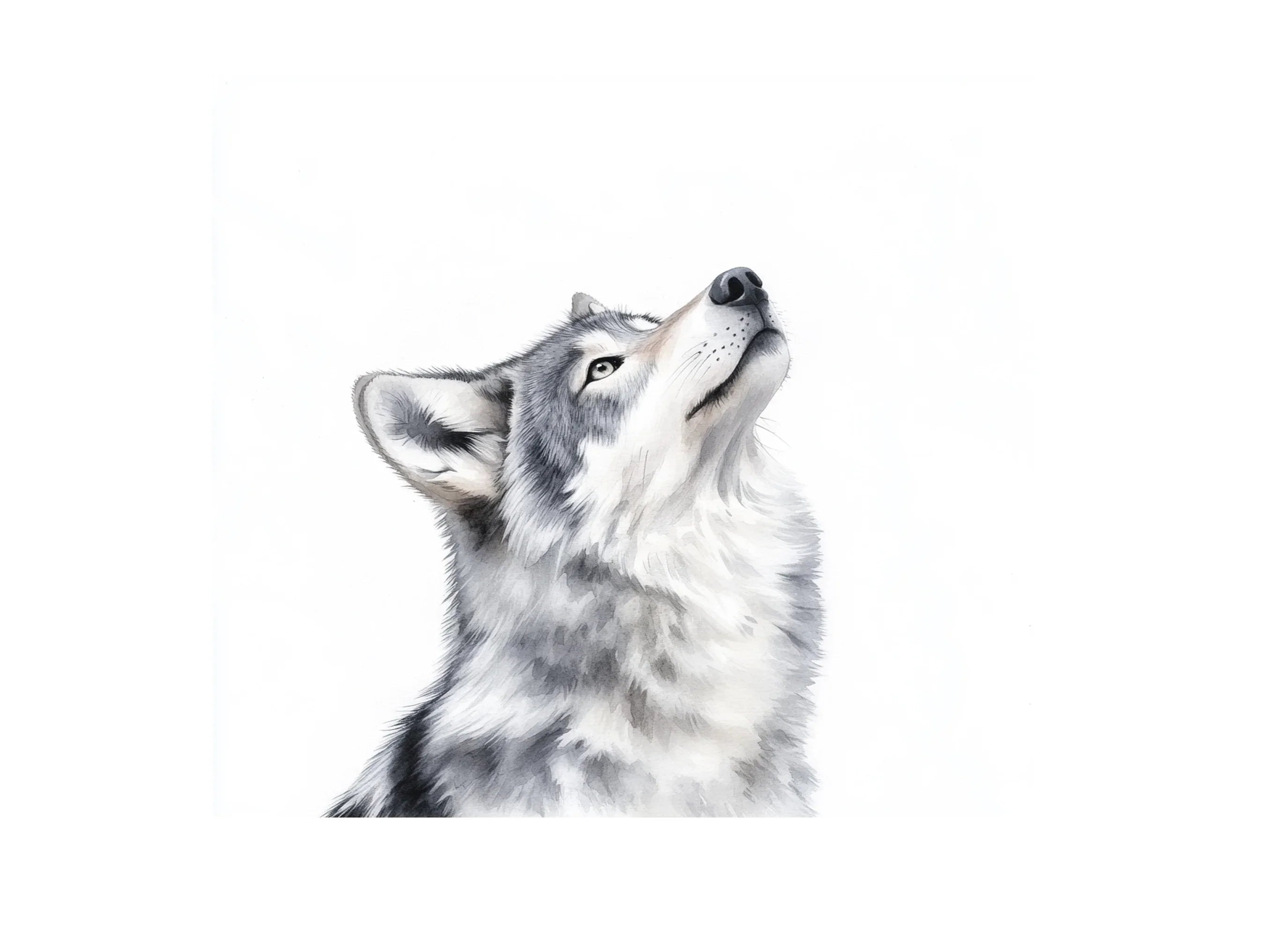 Howling Gray Wolf Clipart Bundle