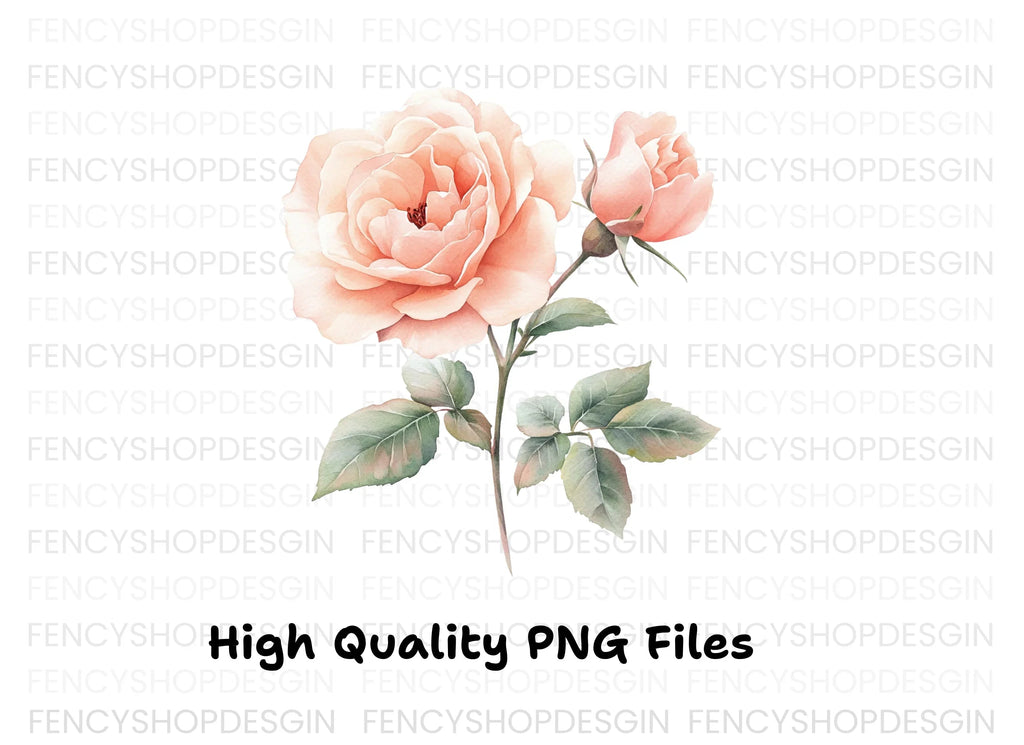Elegant Peach Rose Illustration Clipart Bundle