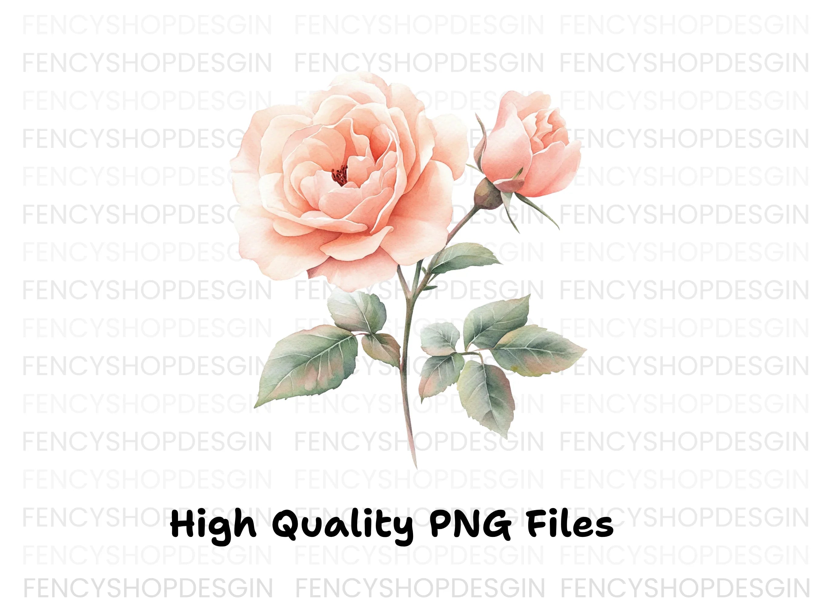 Elegant Peach Rose Illustration Clipart Bundle