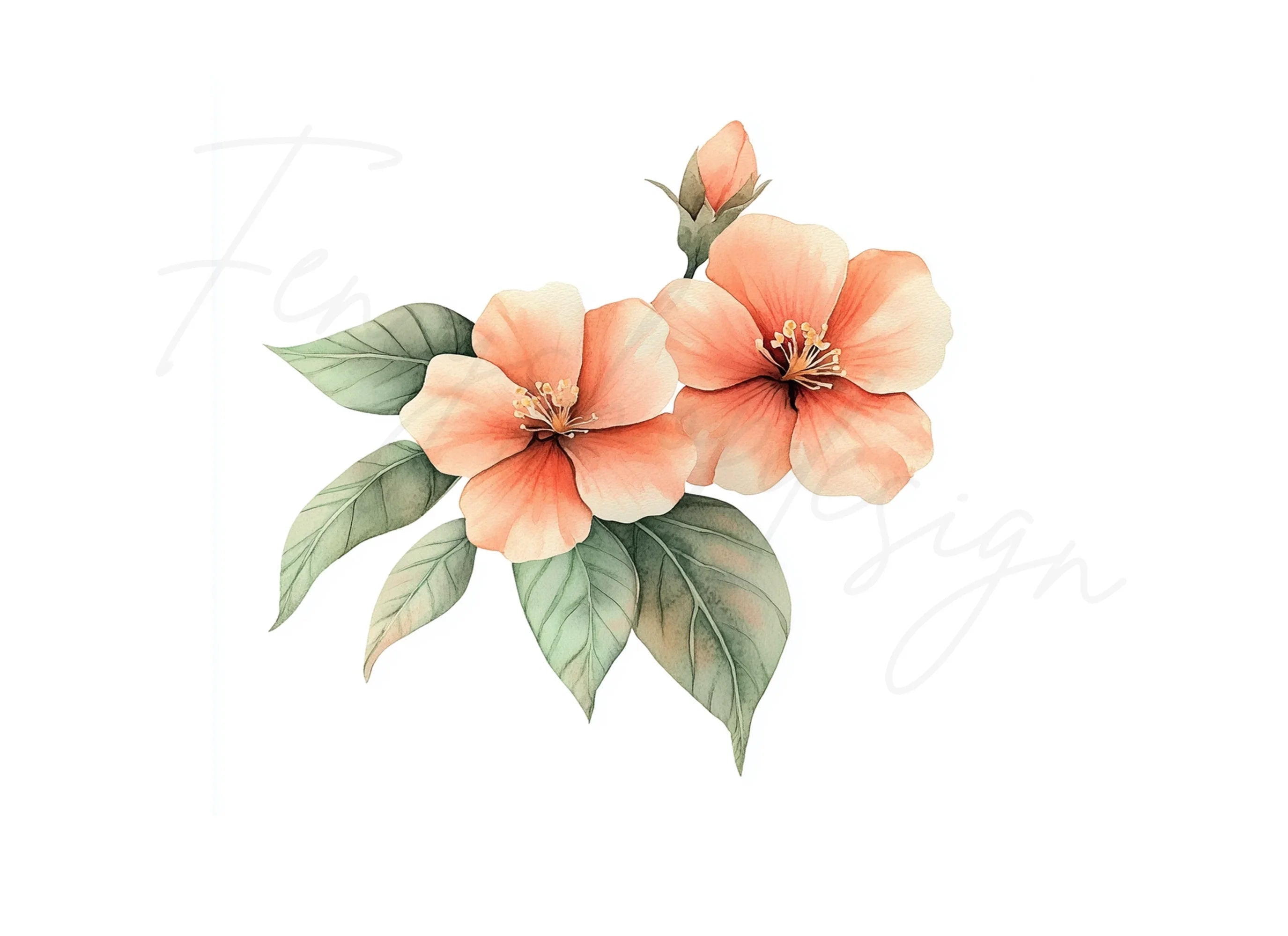 Peach Floral Clipart Bundle