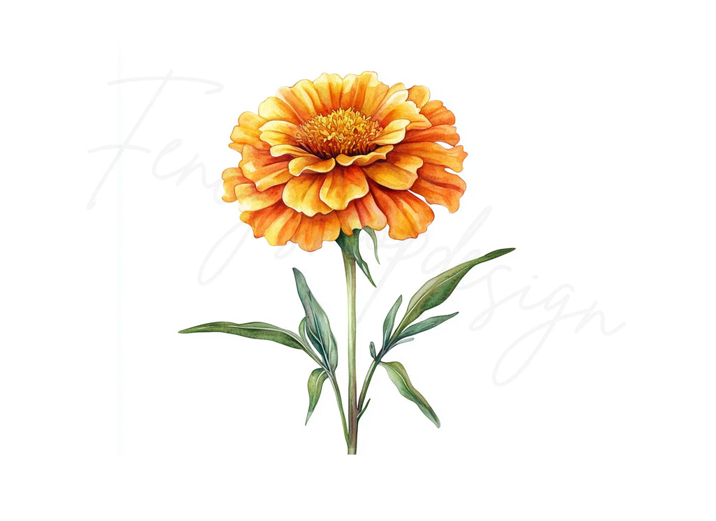 Orange Marigold Designs Clipart Bundle