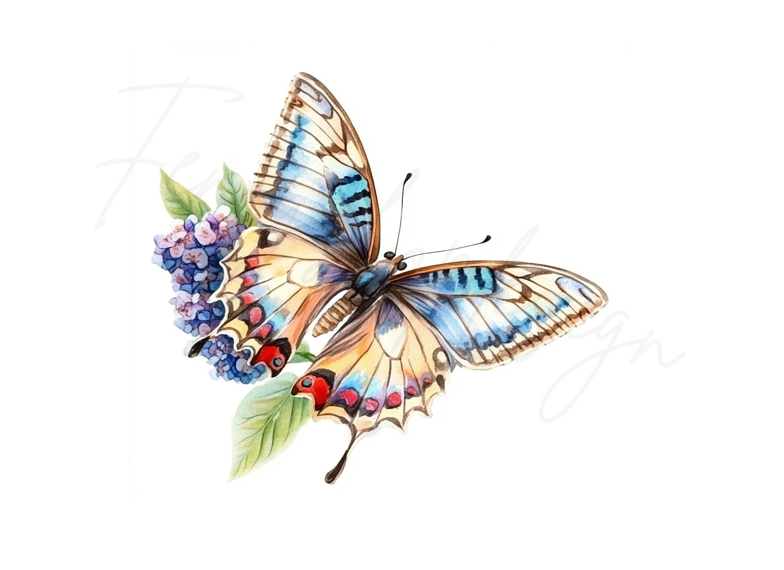 Butterfly Clipart Bundle