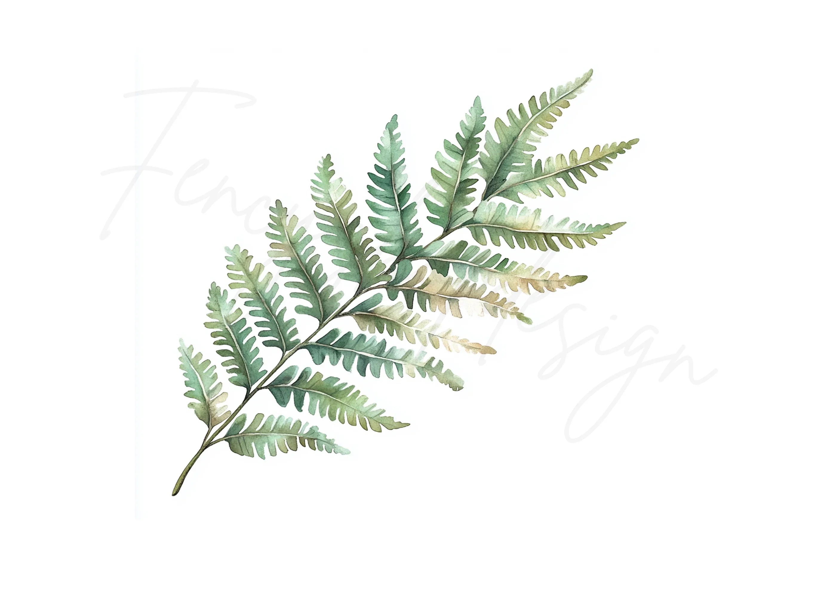 Fern Leaves Clipart Bundle