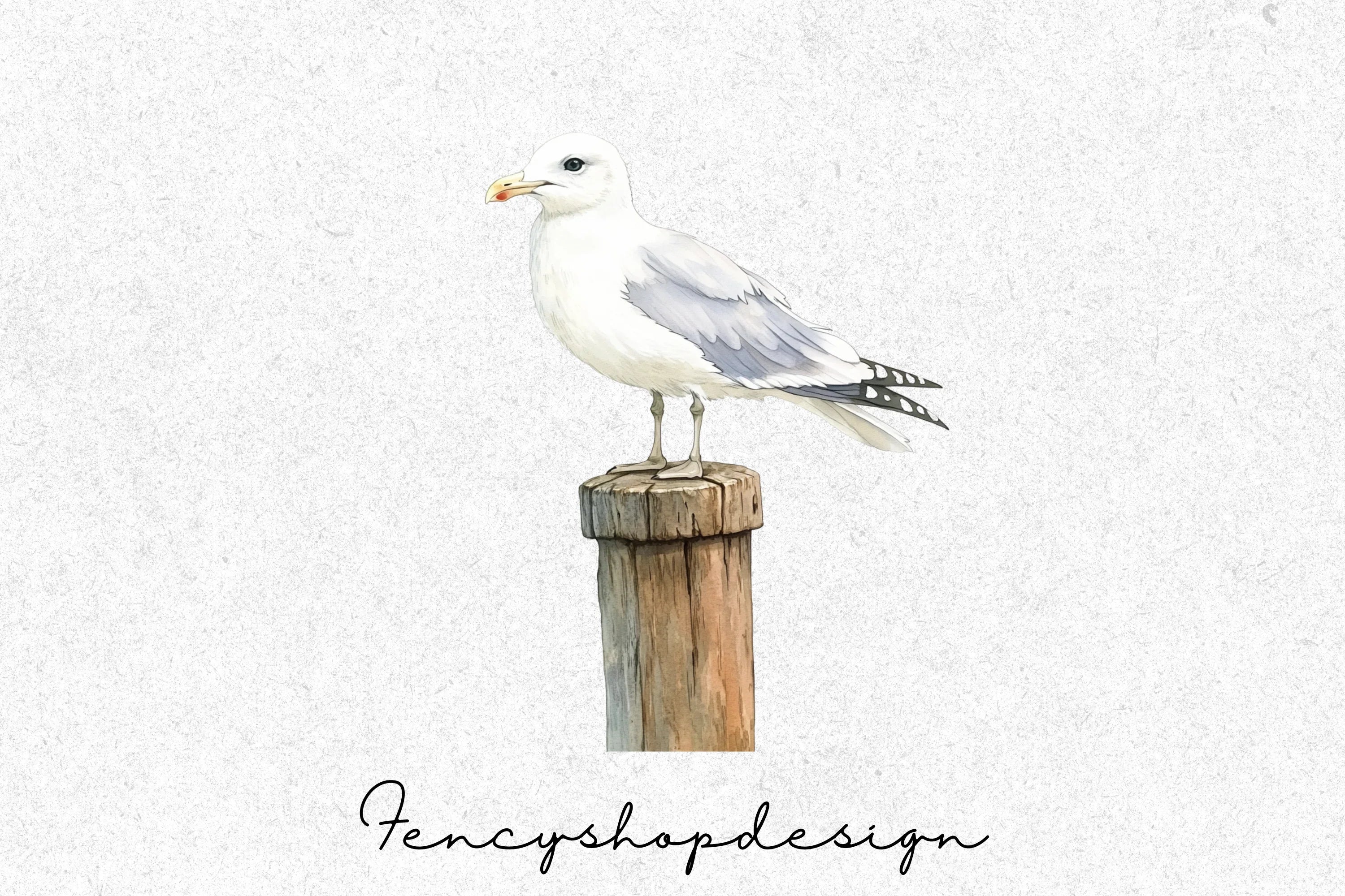Seagull Clipart Bundle