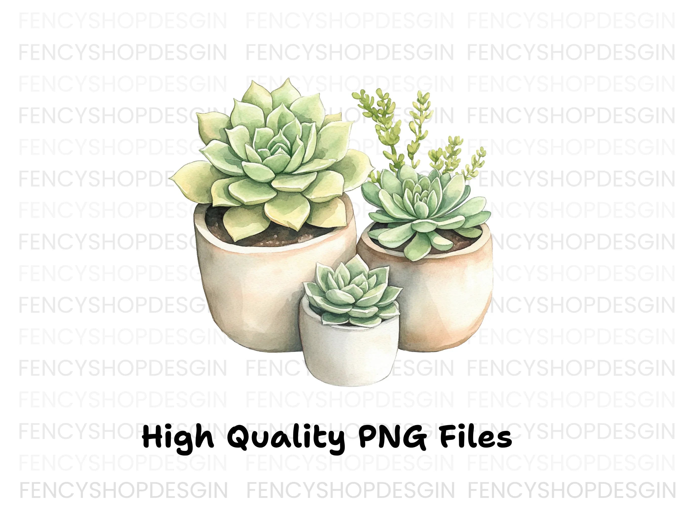 Succulent Plant Clipart Bundle