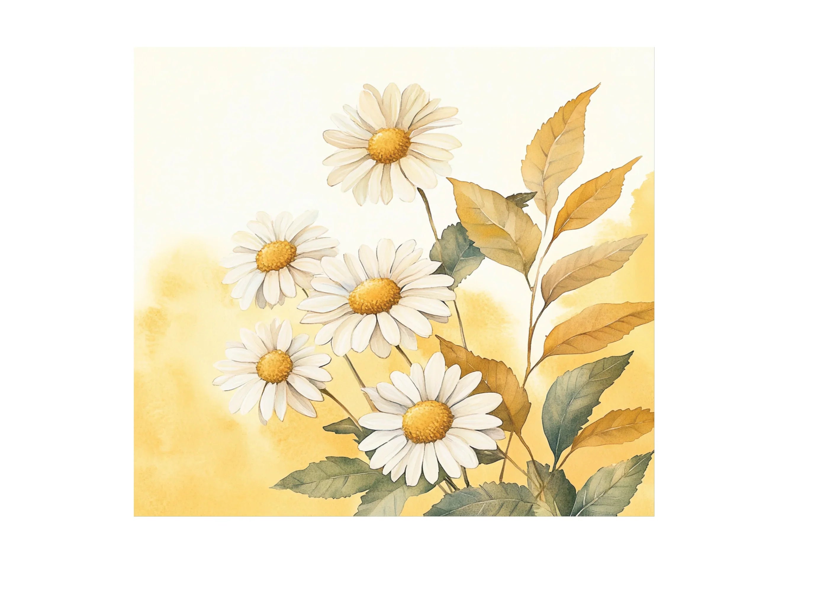 Daisy Clipart Bundle
