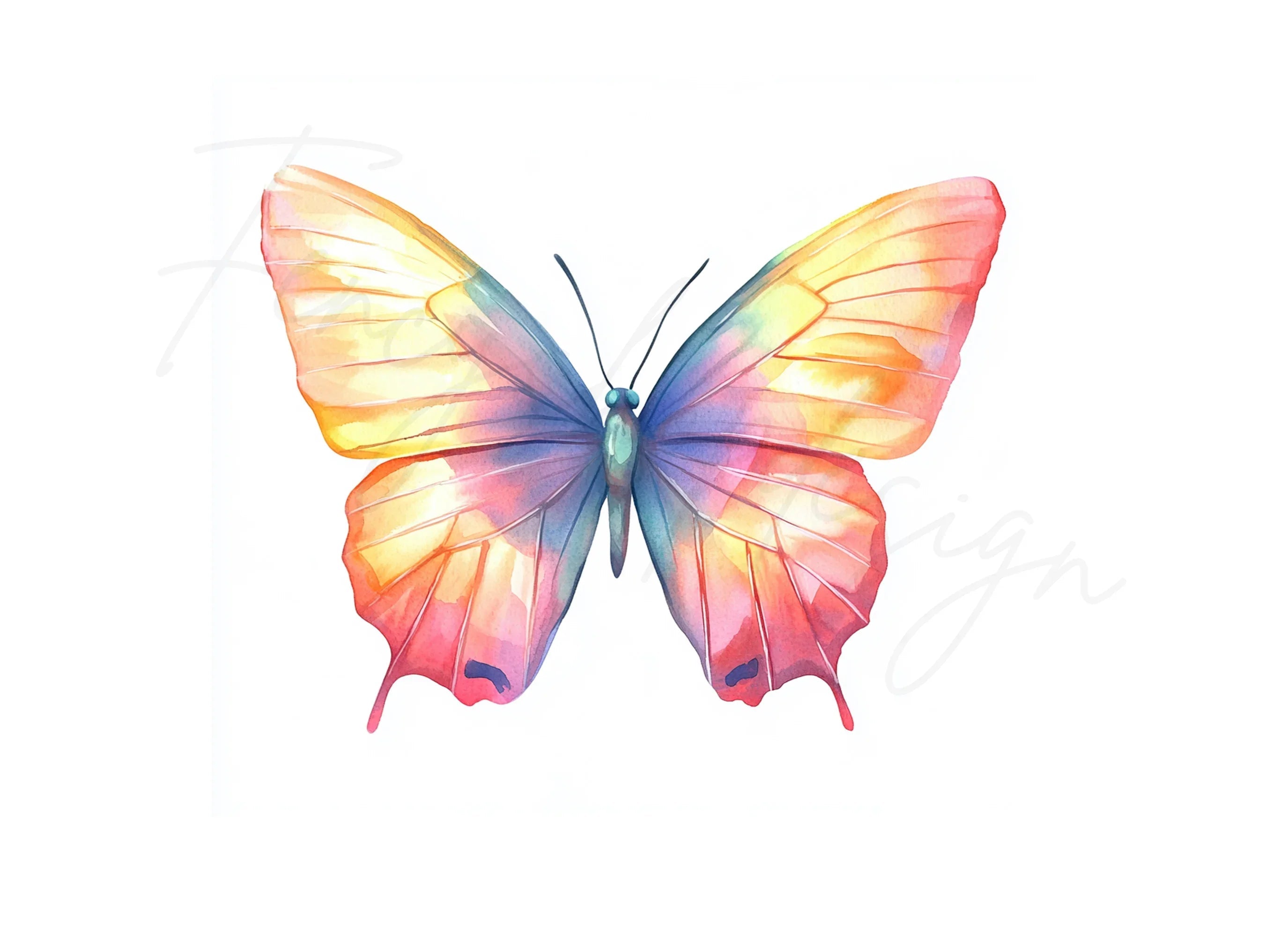 Butterfly Clipart Bundle