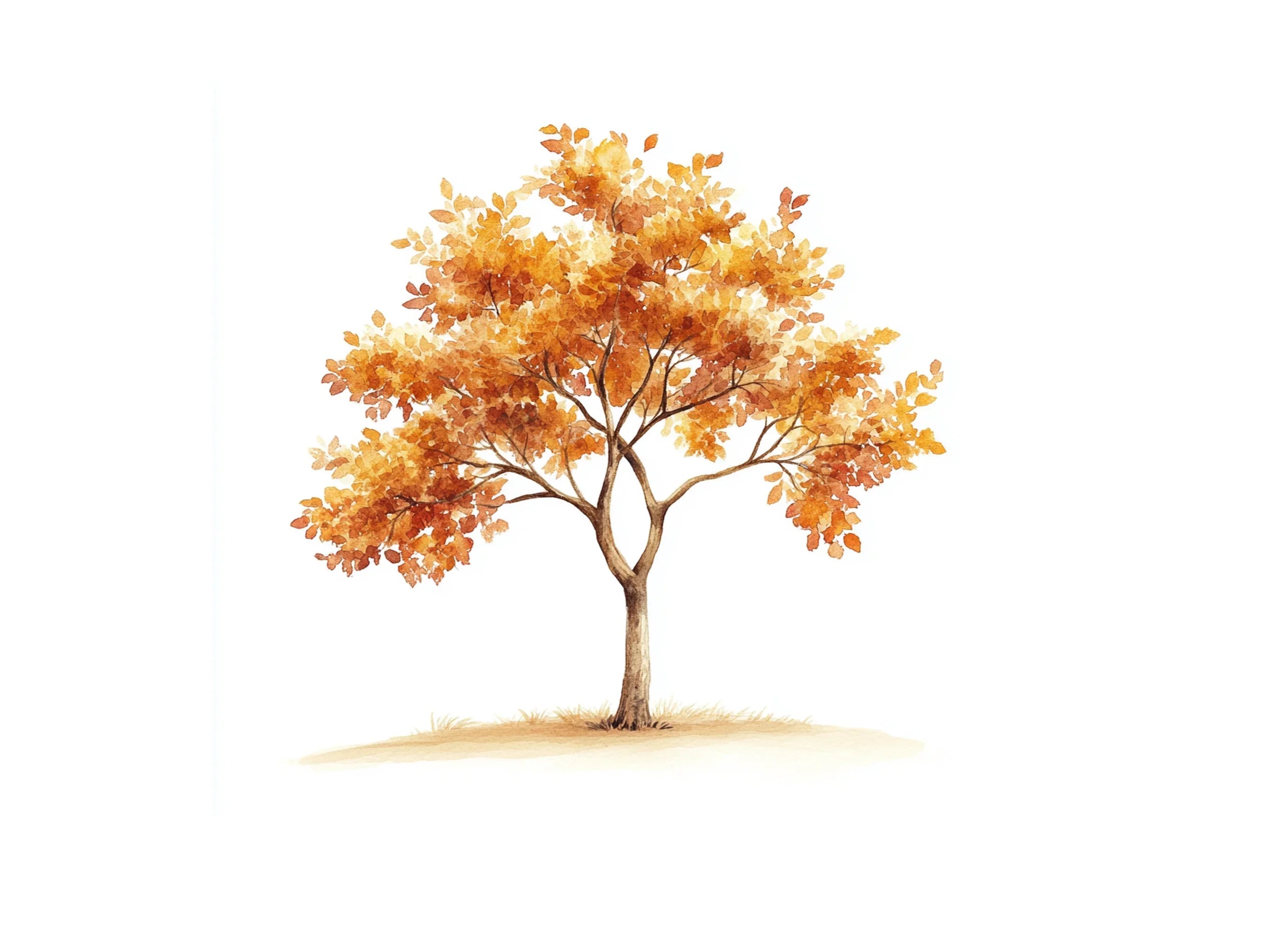 Autumn Trees Clipart Bundle