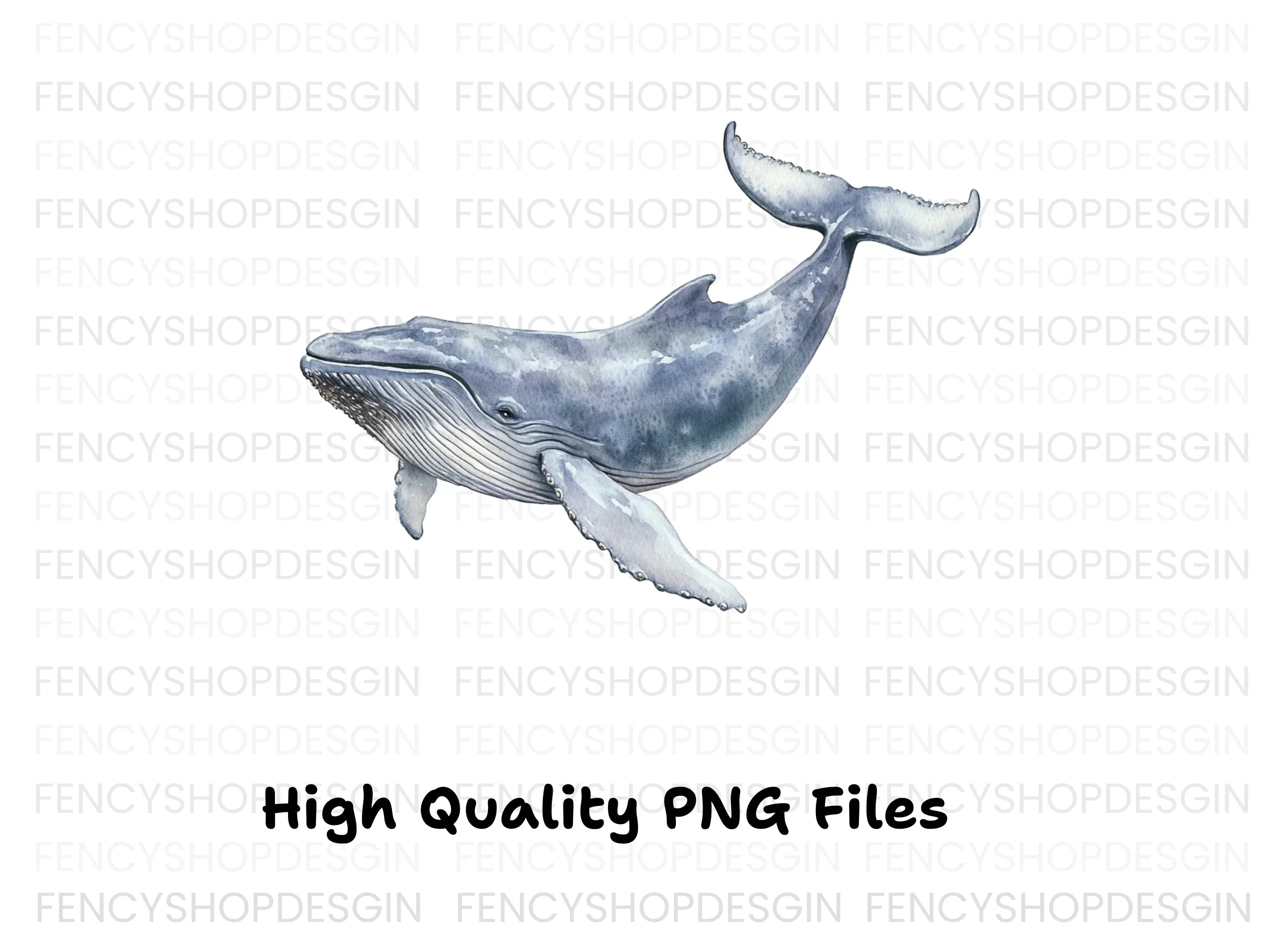 Humpback Whale Clipart Bundle