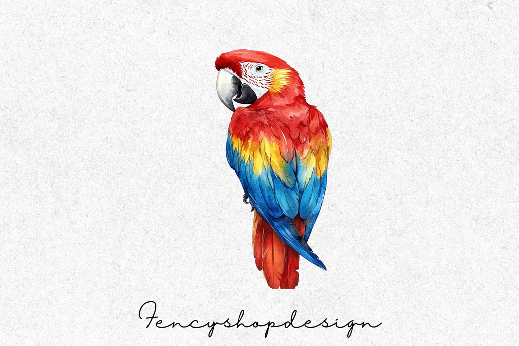 Vibrant Macaw Parrot Clipart Bundle
