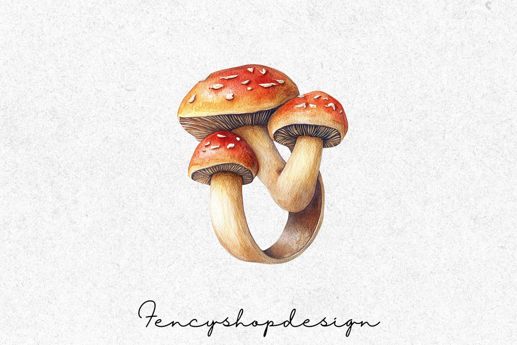 Whimsical Mushroom Toadstool Clipart Bundle