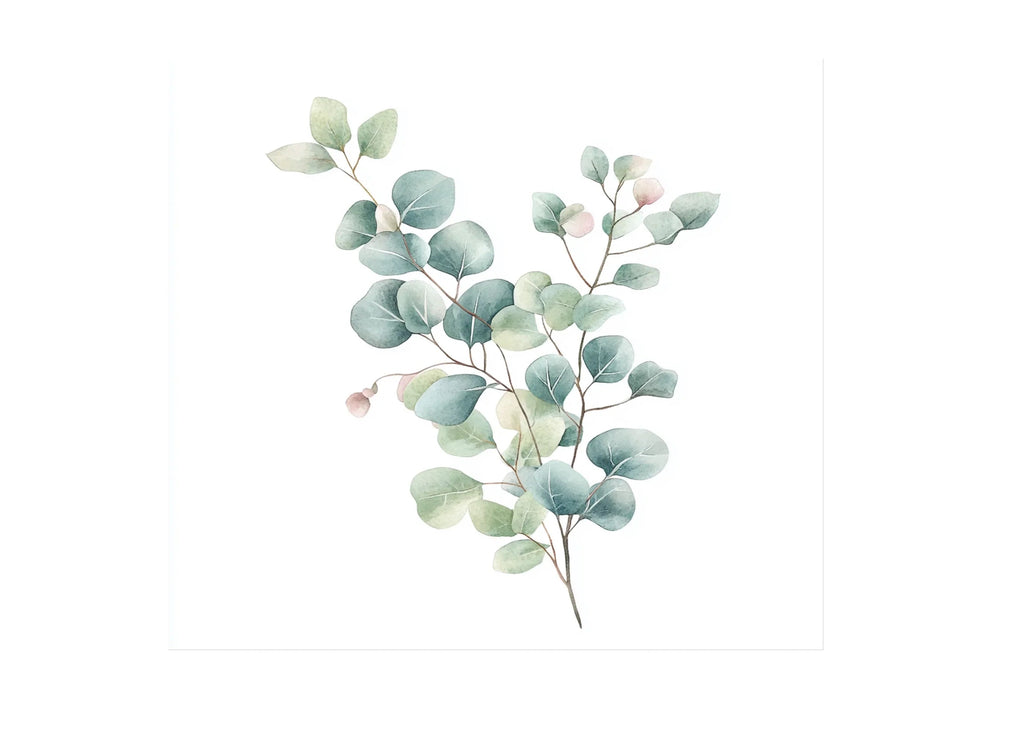 Soft Eucalyptus Leaves Clipart Bundle