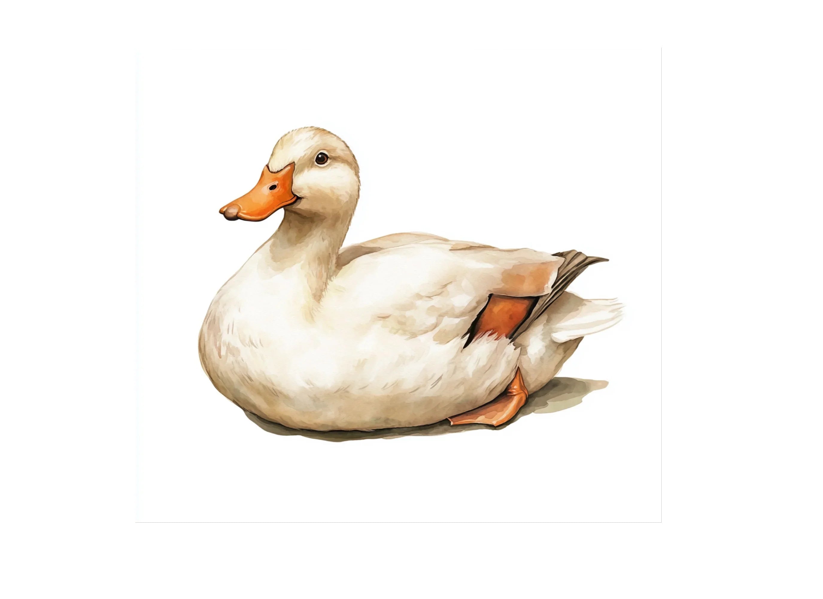 Cute Duck Clipart Bundle