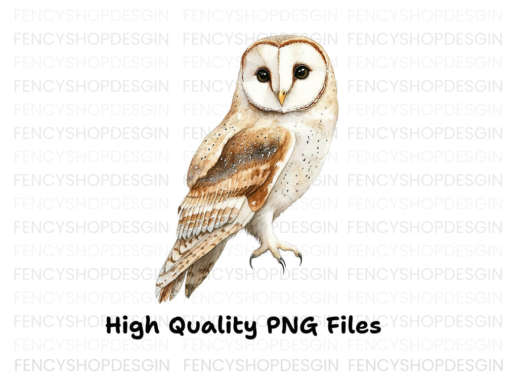 Realistic Barn Owl Clipart Bundle