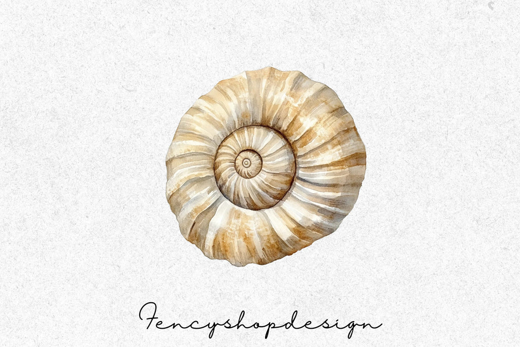 Seashell Ammonite Clipart Bundle