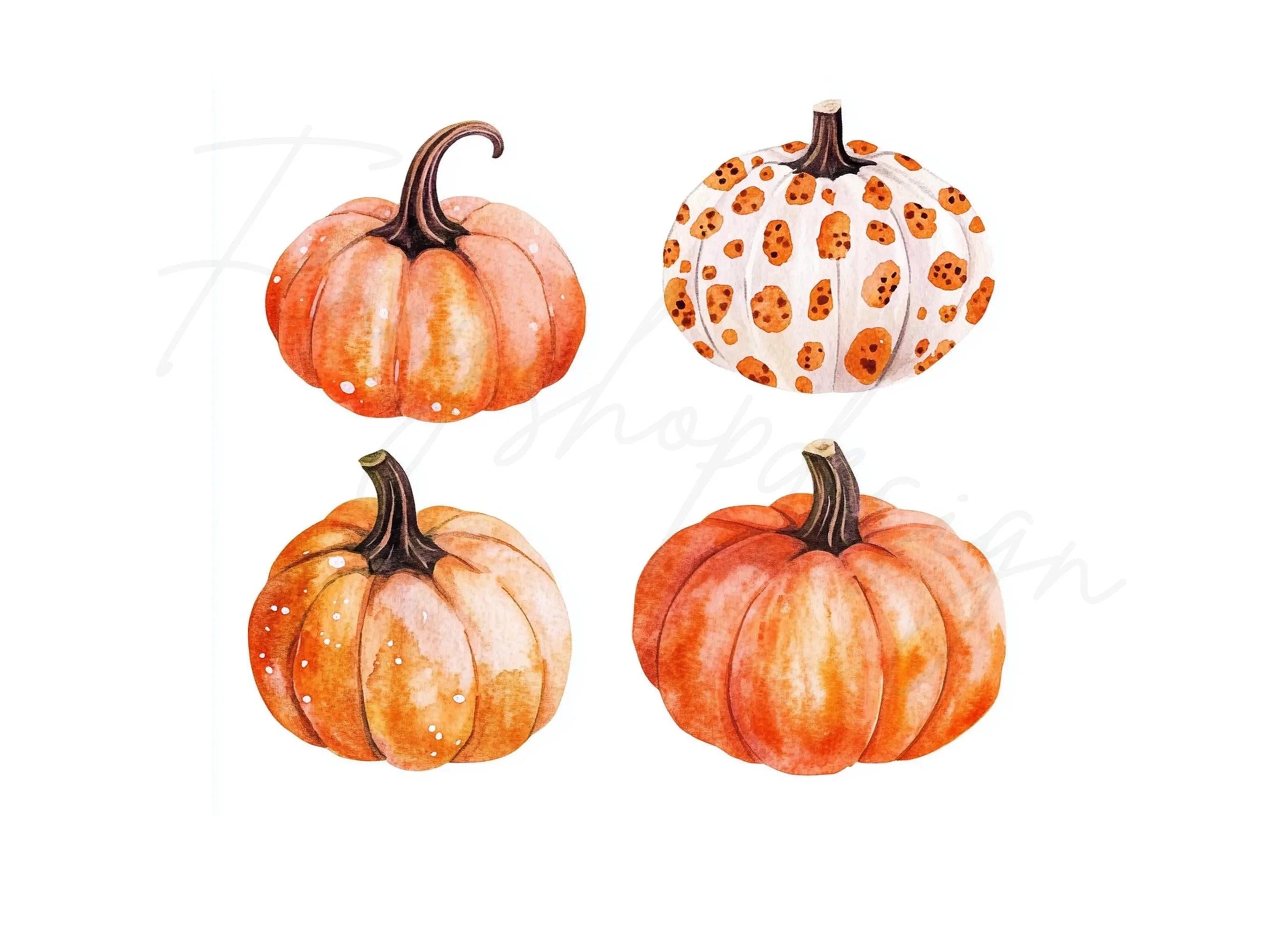 Rustic Fall Pumpkin Leaves Clipart Bundle