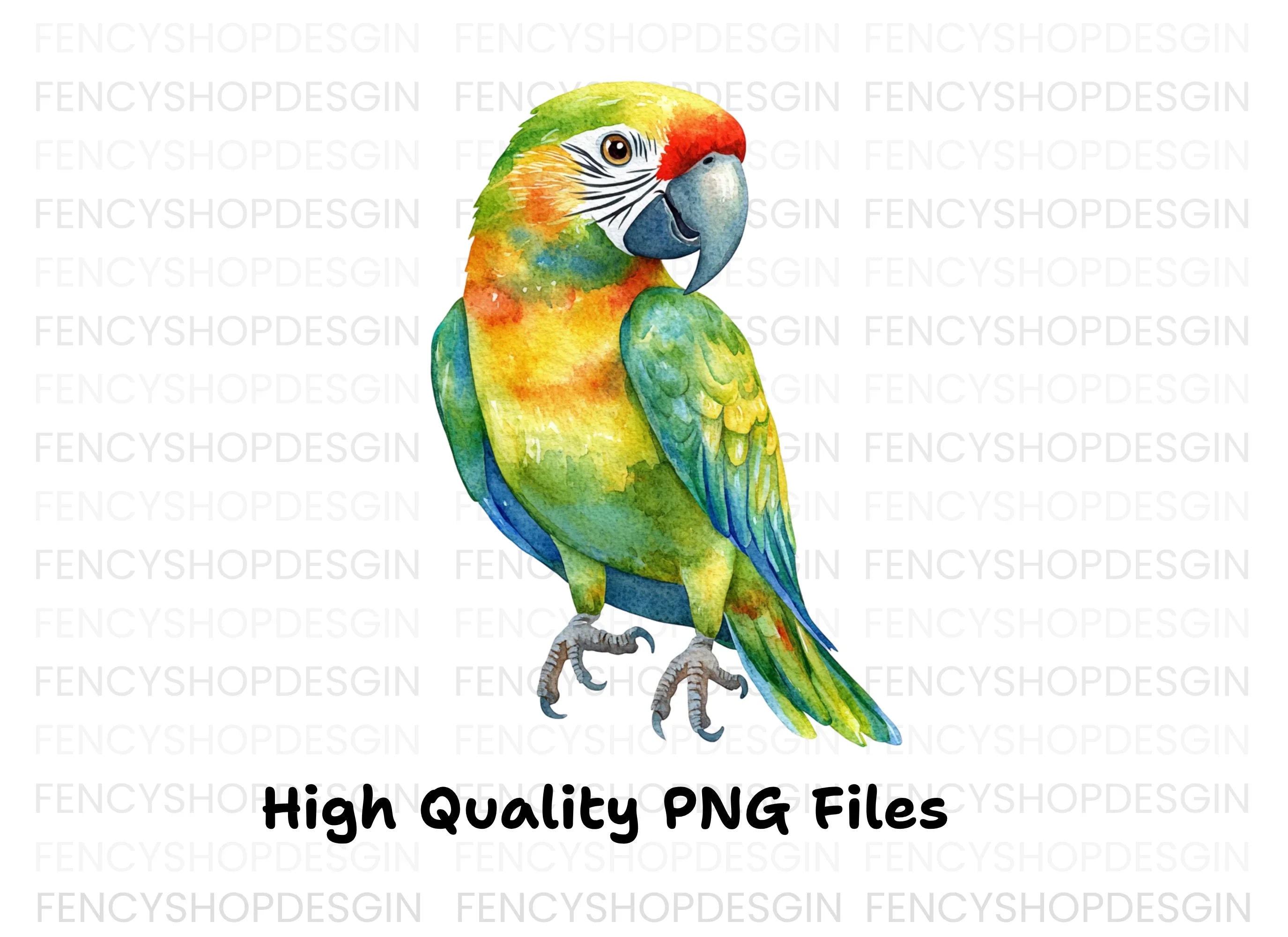 Vibrant Parrot Clipart Bundle